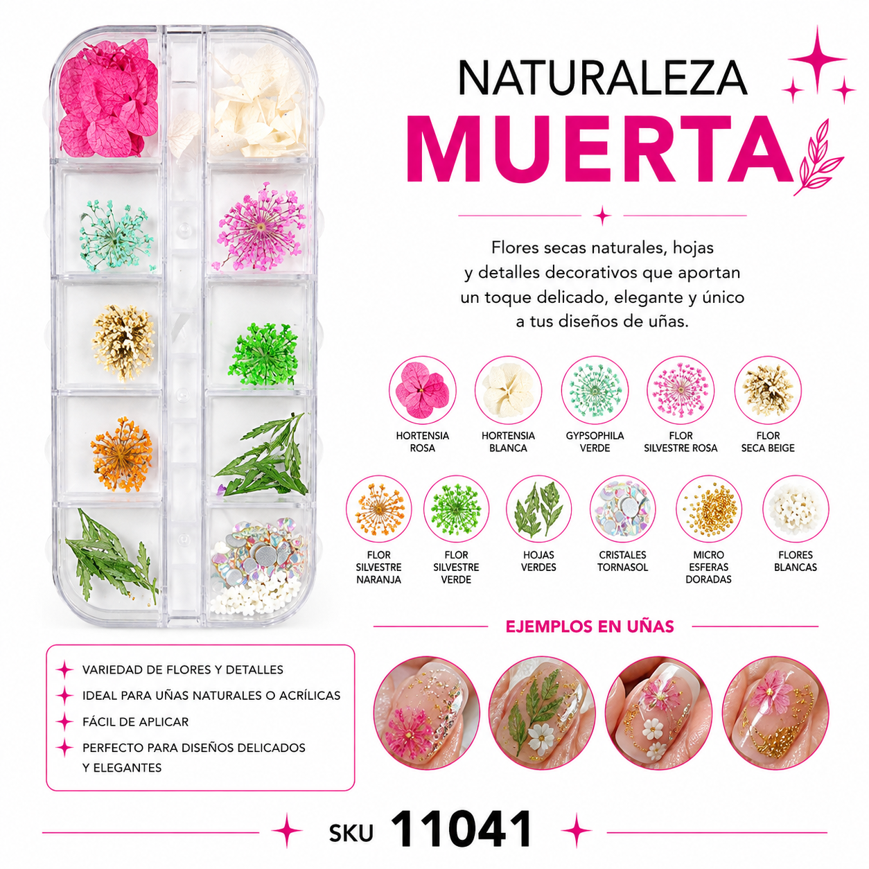 Naturaleza Muerta Con Decoración Surtida